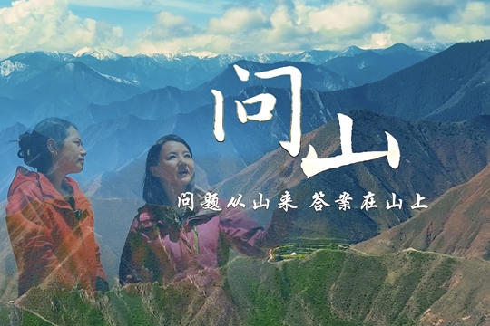 我們的山，綠起來了！